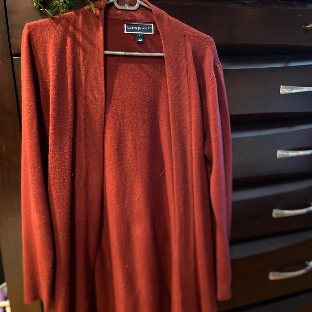 Karen Scott Women's Red Sweater